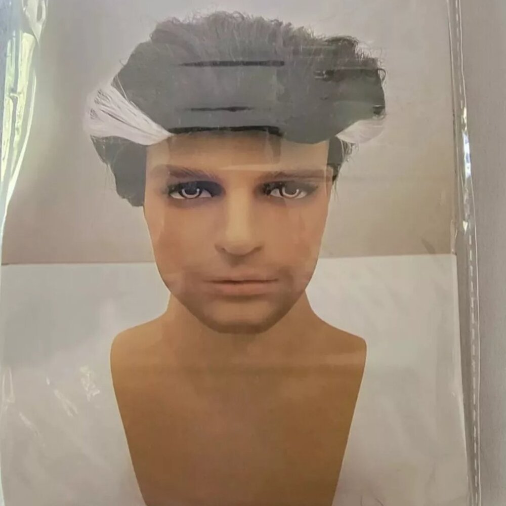 Halloween Wig Costume Accessory Adult Men's Wig Short Black with White Stripe